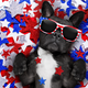 Image for article titled Happy Independence Day from The A.V. Club